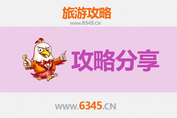 白银会宁旅游攻略：跟团与自由行深度对比
